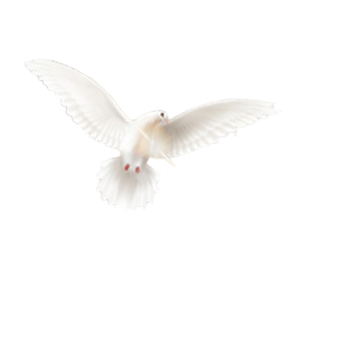holy spirit